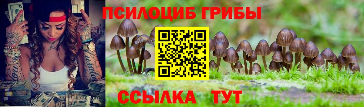 Отрадный  Галлюциногенные грибы Psilocybe  купить наркоту  Псилоцибиновые грибы мухоморы  Вход с VPN 