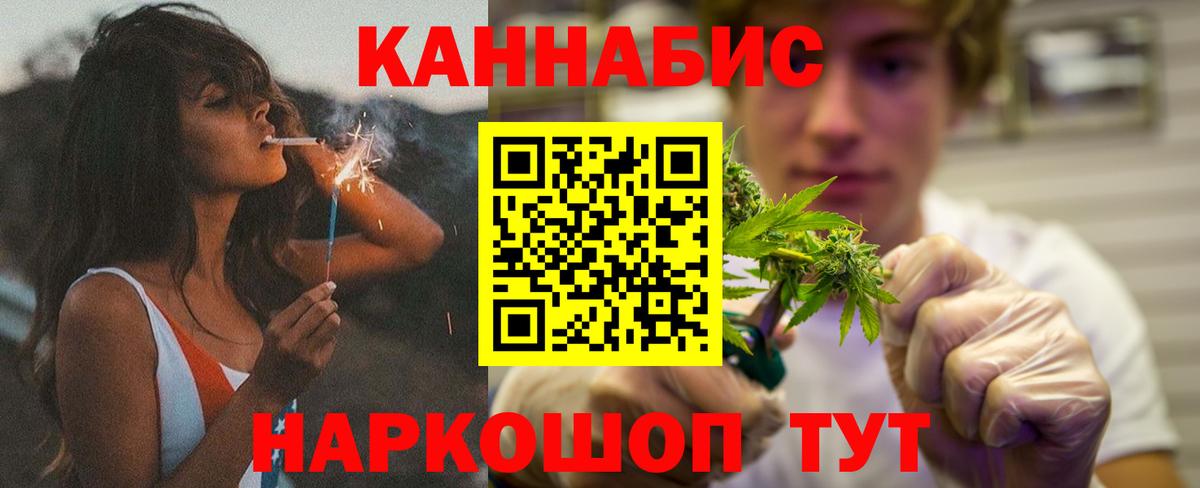 Конопля планчик Отрадный